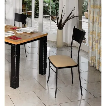 Jídelní židle Iron Art Carcassonne kovová židle