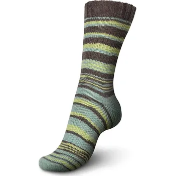 Příze Regia 4-Ply Pairfect 2296 Brown-Beryl (Ponožková příze Regia Pairfect 2296 Brown-Beryl)