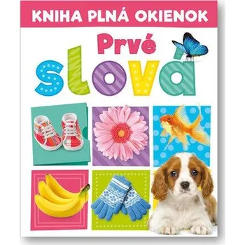 Kniha plná okienok Prvé slova - Pooja Desai, Andrew Burgess