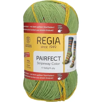 Příze Regia 4-Ply Pairfect 02295 Petrol-lime color (Ponožková příze Regia Pairfect 02295 petrol-lime color)