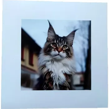 Magnetka z fotografie na přání - 15x15cm bílý okraj cca 2,5cm