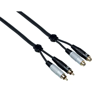 Bespeco EA2X300 3 m Audio kabel