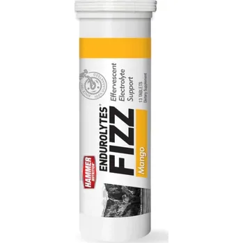 Speciální výživa Hammer Endurolytes Fizz®, 100 g, mango UNI