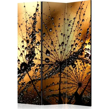 Paraván Paraván Dandelions in the Rain Dekorhome