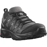 Salomon X Braze Gore-Tex L47180700