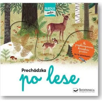 Příroda Prechádzka po lese