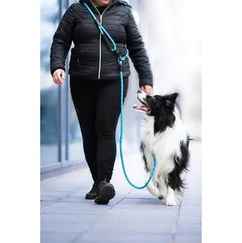 Vodítko pro psa Vsepropejska Moris přepínací vodítko pro psa | 240 cm Barva: Modrá, Šířka vodítka: 0,8 cm