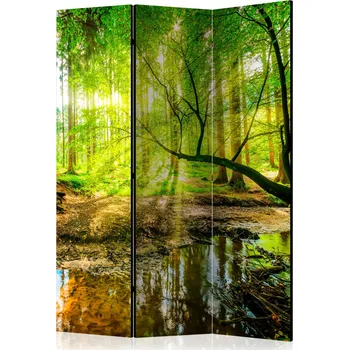 Paraván Paraván - Lesní potok Velikost: 135x172 cm, Provedení: Jednostranný