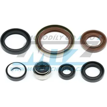 Těsnění motoru Gufera sada (simerinky celý motor) Gas-Gas EC250+EC300+XC250+XC300+SM250+SM300 / 01-20 GAS GAS EC 300 1996-2023