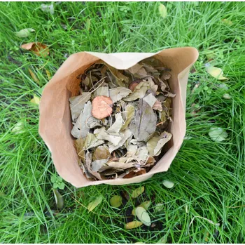 Sušené ovoce Sušené listy a plátky jablek Hmotnost: 150 g