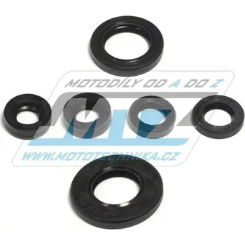 Těsnění motoru Gufera sada (simerinky celý motor) Yamaha XT125R+XT125X+TTR125+YBR125 + Beta 125 + Derbi 125 YAMAHA YBR 125 2005-2016