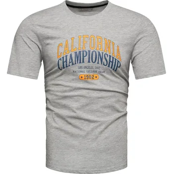 Pánské tričko Recea Pánské tričko s krátkým rukávem Ahia šedá XXL