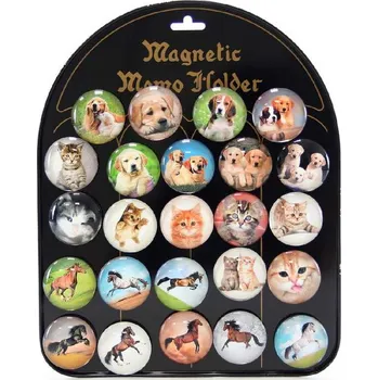 magnetka pro dítě Magnetky dětské kulaté psi/kočky/koně 4 cm 1 ks mix druhů