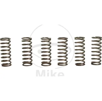 Auto-moto SADA PRUŽIN SPOJKY (6 KS) BMW G 650 Xchallenge 2007-2010