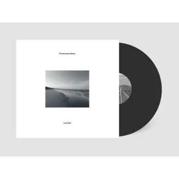 Zahraniční hudba LP The Declining Winter: Last April 2025