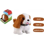 Pes Max chodící štěkající se zvukem