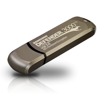 USB flash disk Kanguru Defender 3000 Kapacita: 256 GB