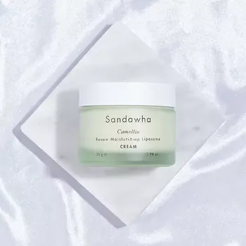 Pleťový krém Sandawha Camellia Renew Moisturizing Liposome cream 60g