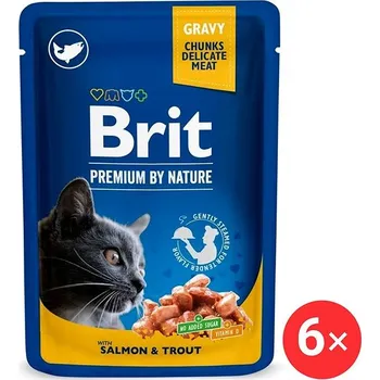 Volný čas Brit Premium by Nature Cat Pouch with Salmon & Trout 6 × 100 g