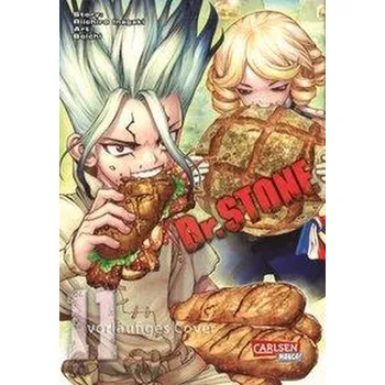 Komiks pro dospělé Dr. Stone 11 - Boichi