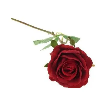 Dětské hřiště Róża piankowa 52cm