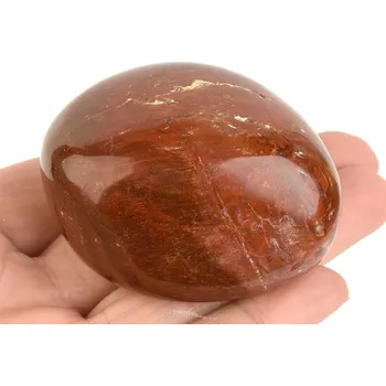 Přírodní kámen Hladký kámen zkamenělé dřevo (Madagaskar) 142g