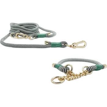 Obojek pro psa Psí kotva zelená set obojek (XL) 51 - 55 cm a vodítko 250 cm