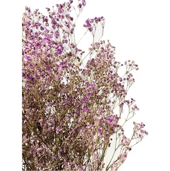 umělá květina Nevěstin závoj/stabilizovaná Gypsophila svazek/kytice fialová 90g-95g