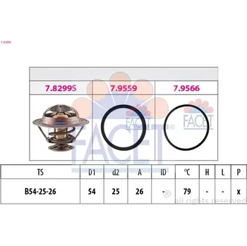 Těsnění motoru Termostat, chladivo FACET 7.8299