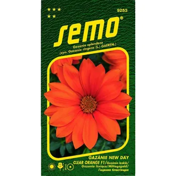 Semeno Semena - Gazánie ´DAY CLEAR ORANGE´ F1