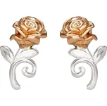 Disney Překrásné stříbrné náušnice pecky Princess E905453TL + 2 měsíce na vrácení zboží