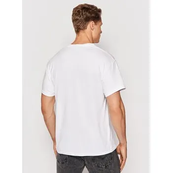 Pánské tričko Thrasher T-Shirt Flame Bílá Regular Fit L