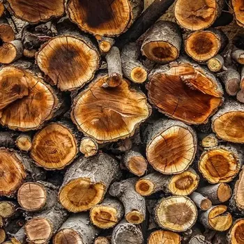 Fototapeta Solution Media 3D tapeta - Dřevěná stěna MU2616 3 - 3D Relief - Vliesová tapeta - 320g/m2