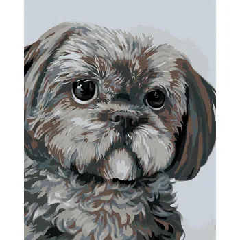 zuty Zuty - Malování Podle Čísel - Pejsek (Myroslava Voloschuk), 40X50 Cm, Plátno
