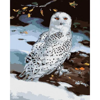 zuty Zuty - Malování Podle Čísel - Sněžná Sova V Zimě (D. Rusty Rust), 40X50 Cm, Plátno