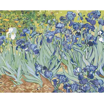 zuty Malování podle čísel - Kosatce (van Gogh), 50x40 cm, vypnuté plátno na rám