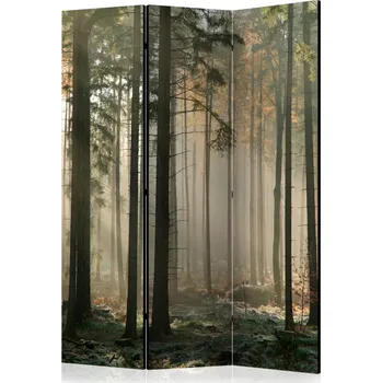 Paraván Paraván Foggy November morning Dekorhome