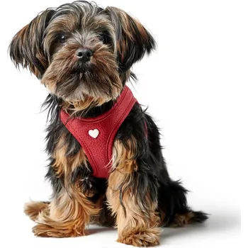 Postroj pro psa Kšíry pro psa Hunter Love - červené Velikost: XS: obvod krku: 33-37cm, obvod břicha: 36-39cm