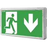 EXIT S 1W IP65 LED nouzové svítidlo 1h s piktogramem 120lm