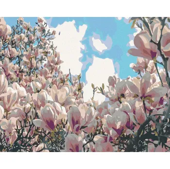 zuty Malování podle čísel - Kvetoucí magnólie, 50x40 cm, vypnuté plátno na rám