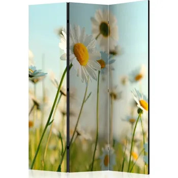 Paraván Paraván Daisies - spring meadow Dekorhome