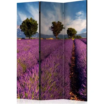 Paraván Paraván Lavender field in Provence, France Dekorhome