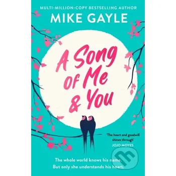A Song of Me and You - Mike Gayle Hodder Paperback