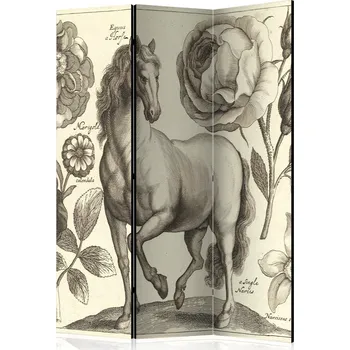 Paraván Paraván Horse Dekorhome