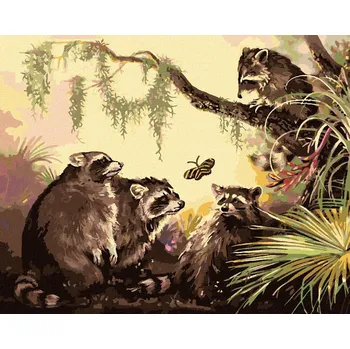 zuty Zuty - Malování Podle Čísel - Mýval A Motýl (D. Rusty Rust), 40X50 Cm, Plátno