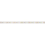 Panlux PN13300001 LED PÁSEK NW 24V 6W 8mm IP20 - 3015 LED