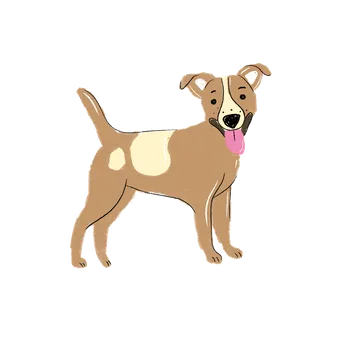 Pamlsek pro psa Dogsie balíček pro středního rošťáka