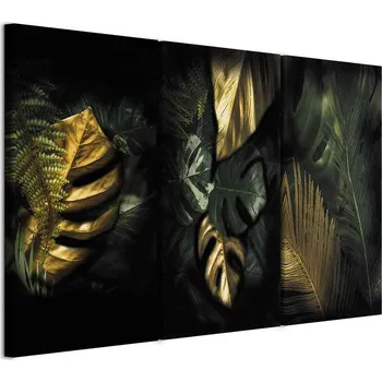 Obraz Obraz - Cenný nález (3 díly) Velikost: 90x60 cm, Provedení: Standard