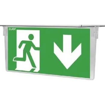Nouzové osvětlení Praporec pro nouzové svítidlo EXIT S pro stropní montáž