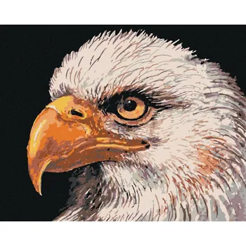 zuty Zuty - Malování Podle Čísel - Orel Bělohlavý, 40X50 Cm, Plátno